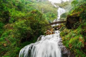 Sapa Cycling Tour Half Day